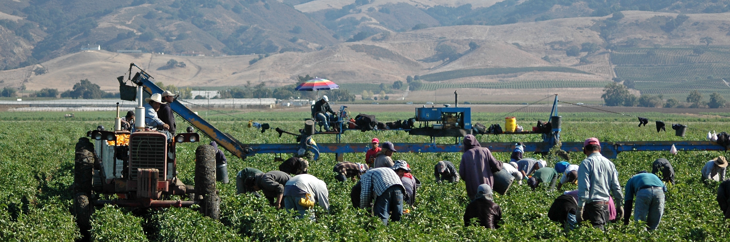 Image of California farm laborers